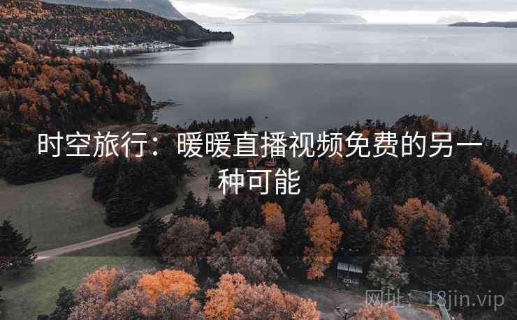 时空旅行：暖暖直播视频免费的另一种可能