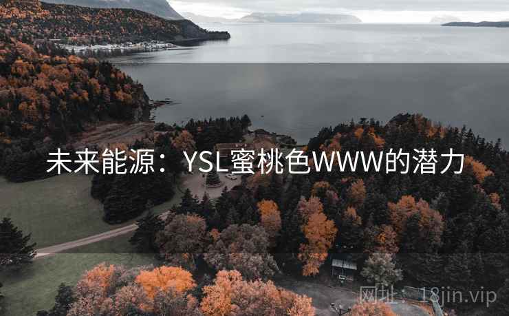 未来能源：YSL蜜桃色WWW的潜力  第1张